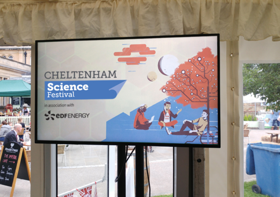 Professional digital signage screens for businesses